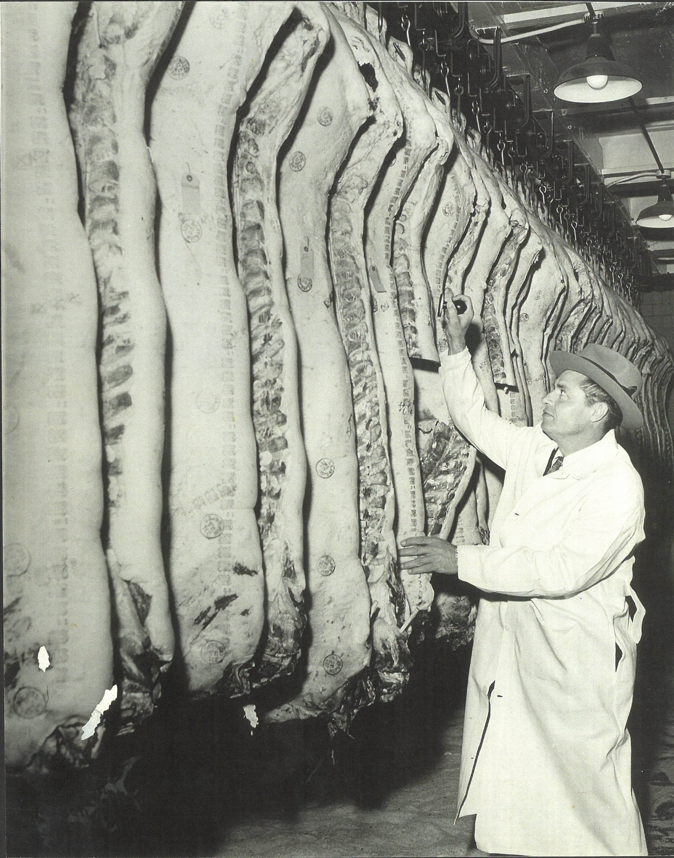 Person examining large meat at a market or processing facility.