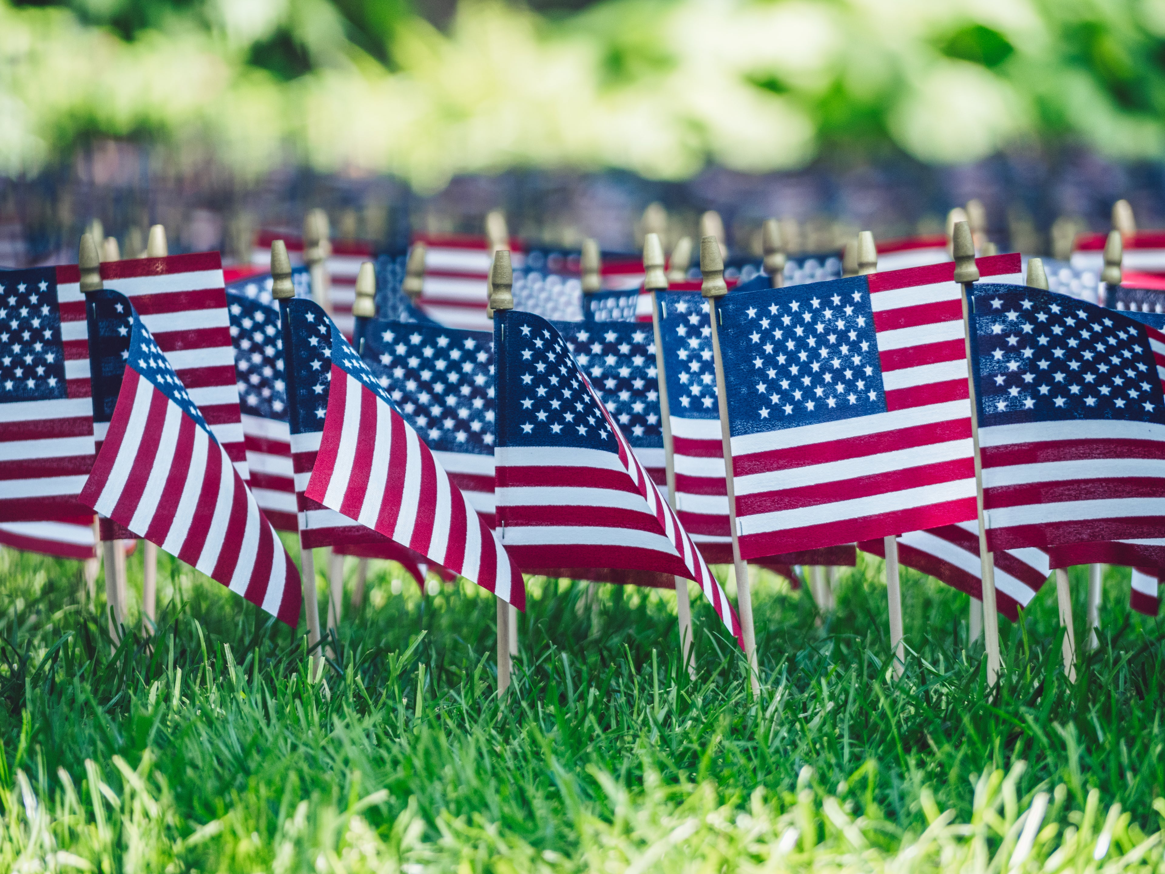 Row of American flags planted in the grass